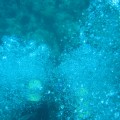 Diving