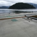 new float needing leveling after