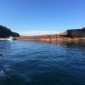 PARTIALLY SUBMERGED
