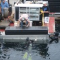 Floatation Correction