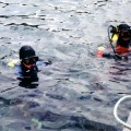 Diving
