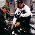 D. Trethewey and R. Bown